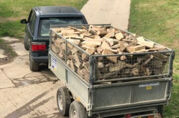Best Firewood for Campfires Your Guide to the Perfect Burn