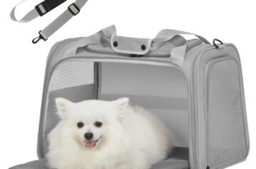 Comfort and Style for Every Adventure: Choosing the Right Bag for a Small Dog