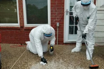 How to Choose the Right Mold Removal Company Near You in Clearwater