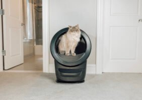 Litter-Robot.ee